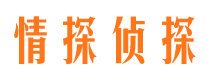 四平市私人调查